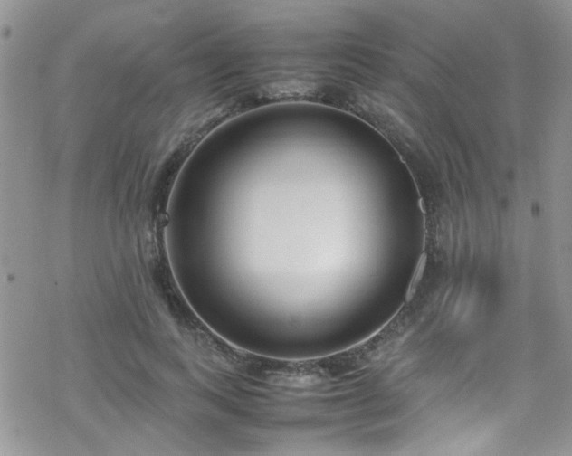 X0000070390743200606121317
