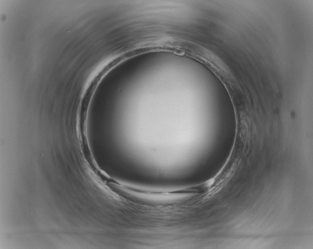 X0000070390788200606121316