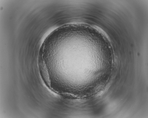 X0000070390855200606121316