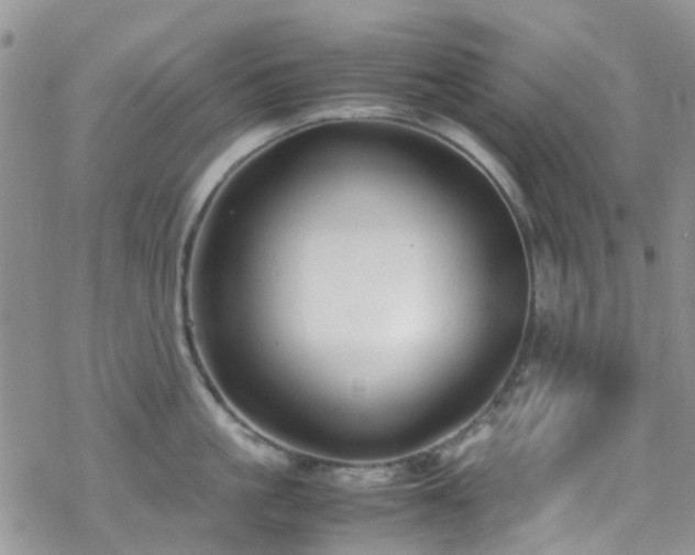 X0000070390861200606121316