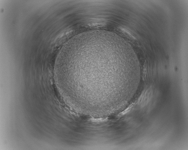 X0000070390917200606121314