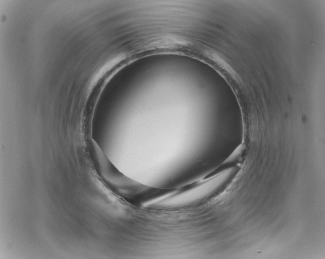 X0000070391026200606121312