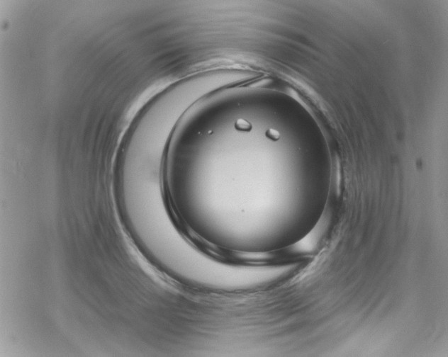X0000070391034200606121312