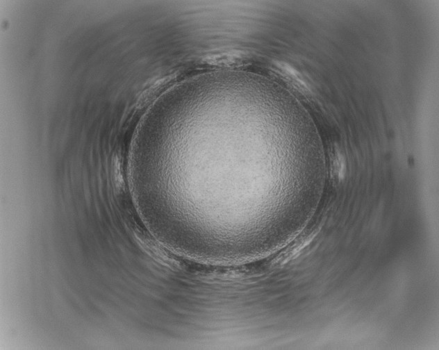 X0000070391106200606121310