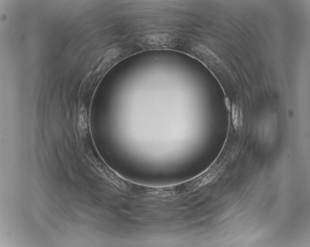 X0000070391107200606121310