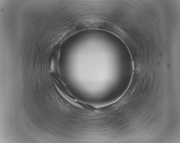 X0000070391108200606121310
