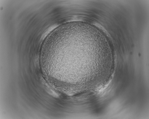 X0000070391121200606121311