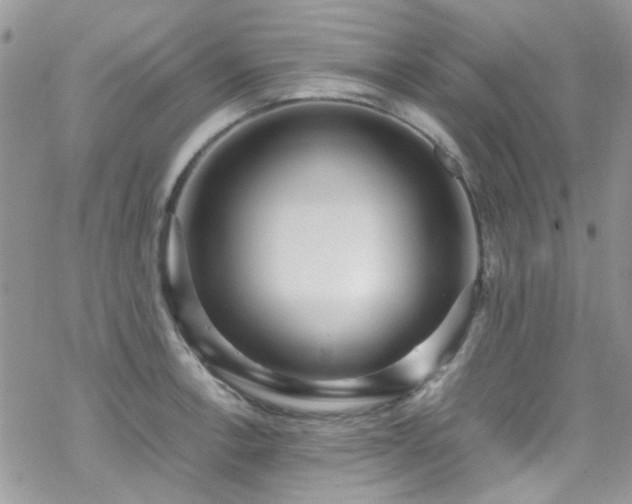 X0000070391138200606121311
