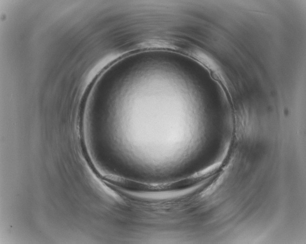 X0000070391141200606121311