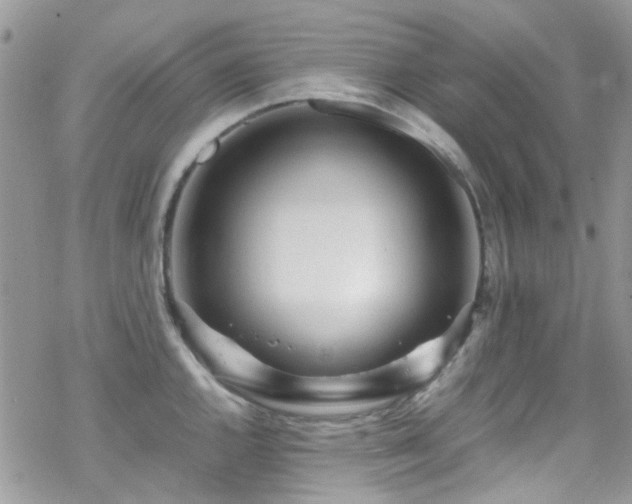 X0000070391144200606121311