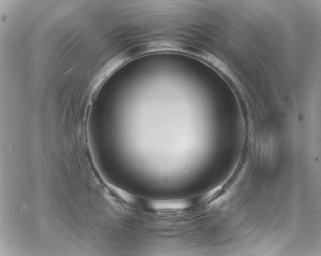 X0000070391145200606121311