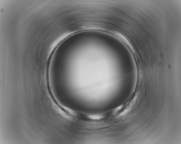 X0000070391149200606121311