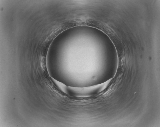 X0000070391156200606121310