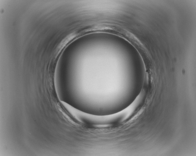 X0000070391177200606121310