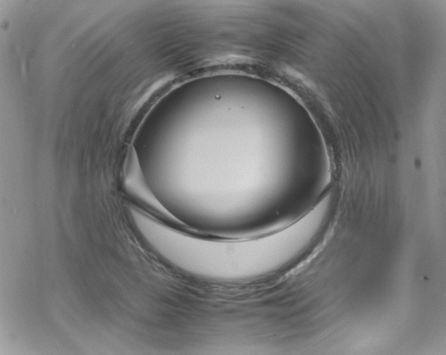 X0000070391313200606121308