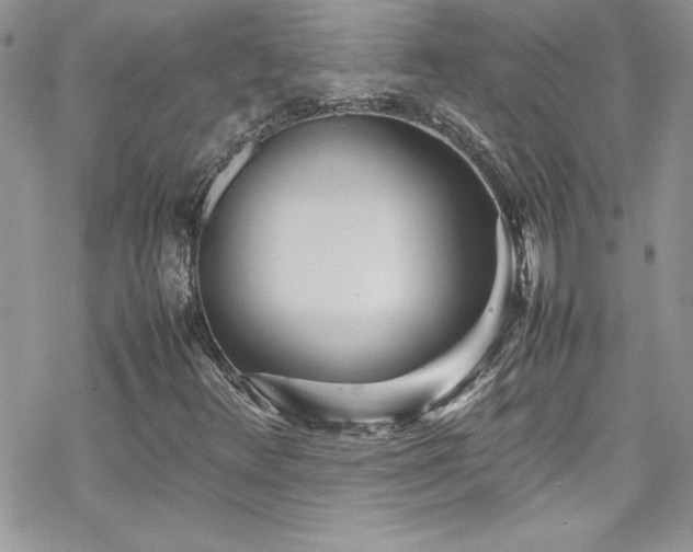 X0000070391348200606121307