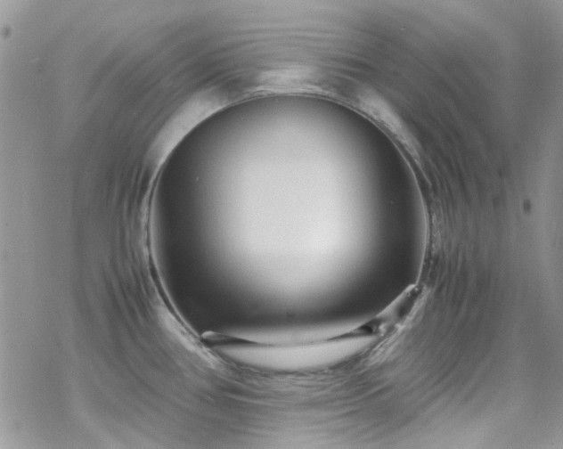 X0000070391386200606121307