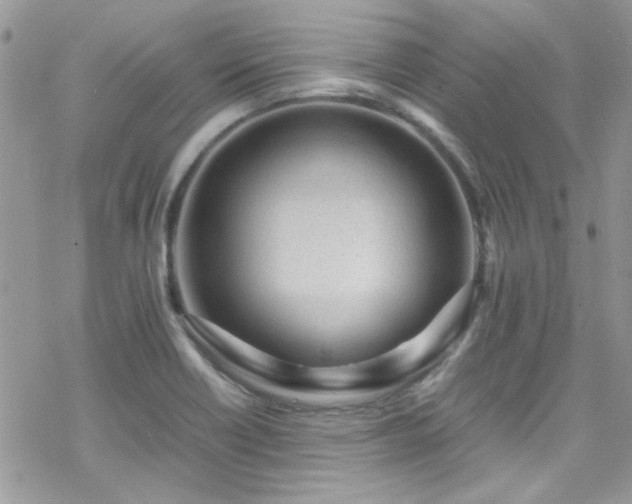 X0000070391418200606121306