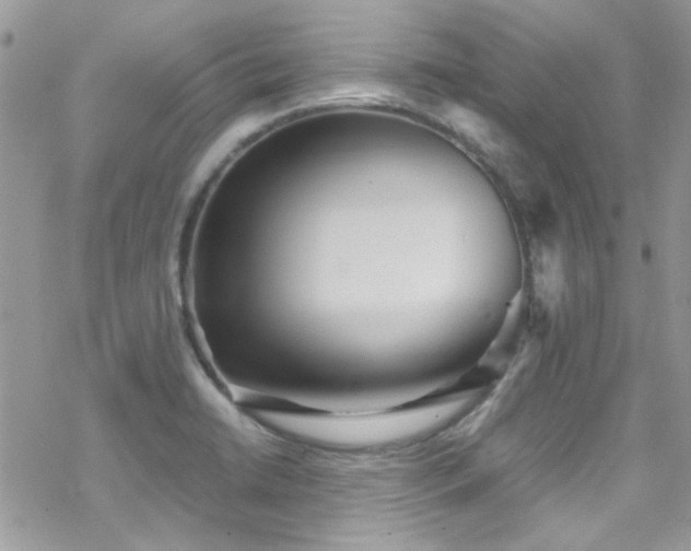 X0000070391422200606121306