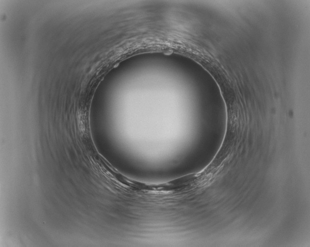 X0000070391490200606121304