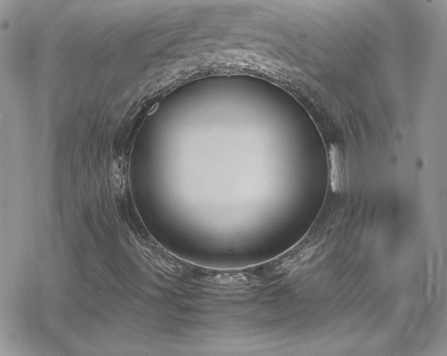 X0000070391491200606121304