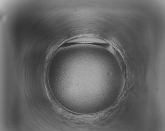 X0000070390001200606161422