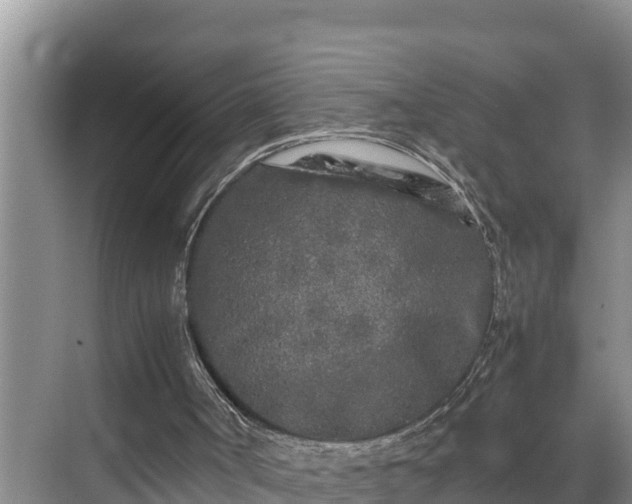 X0000070390002200606161422