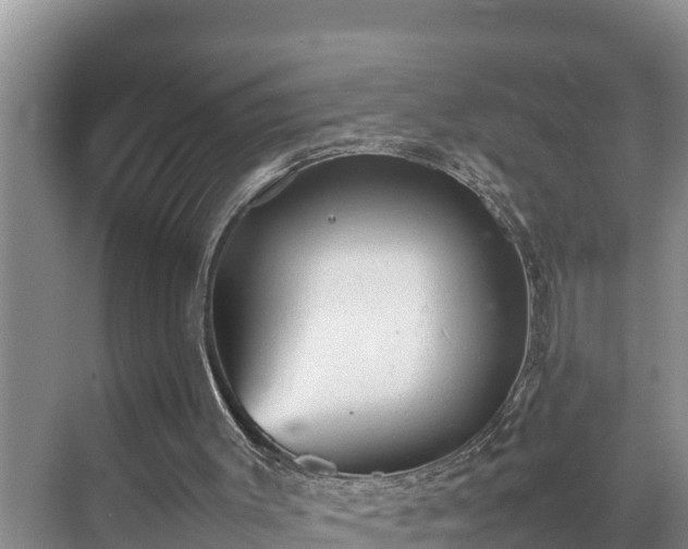 X0000070390003200606161422