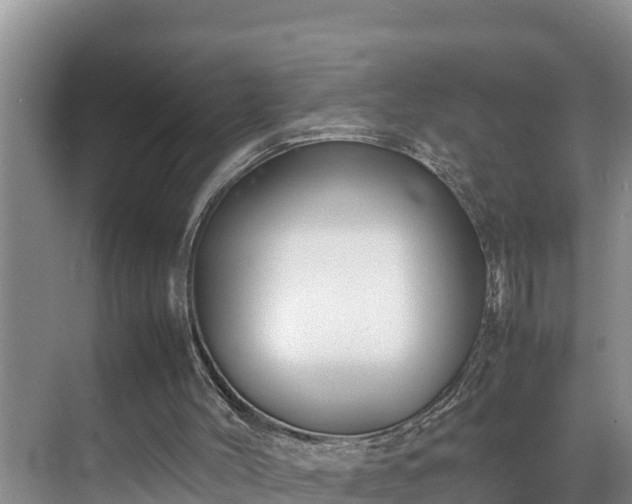 X0000070390004200606161422