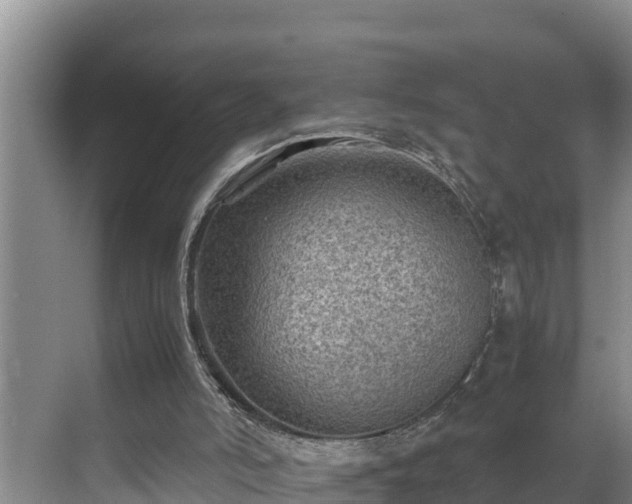 X0000070390006200606161422