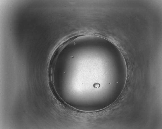 X0000070390007200606161422