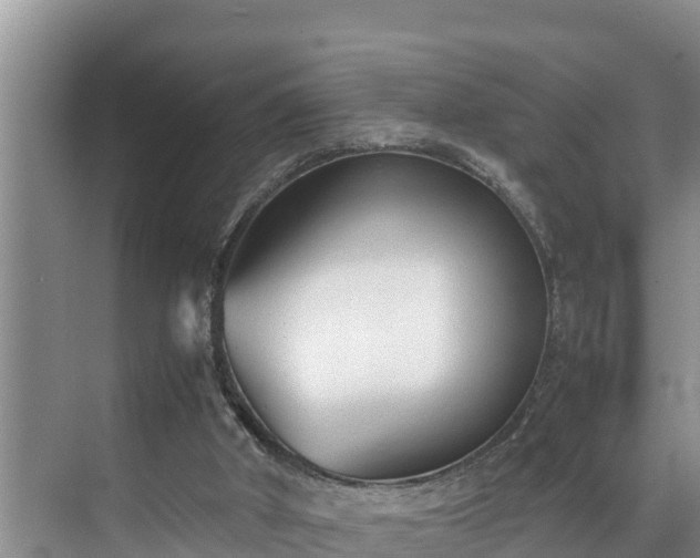 X0000070390010200606161422