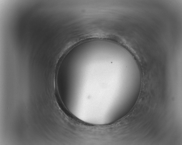 X0000070390011200606161422