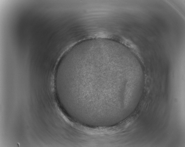 X0000070390012200606161422