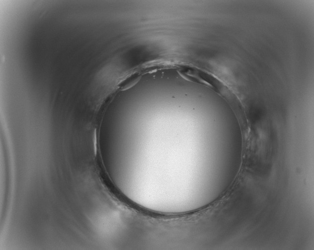 X0000070390013200606161422