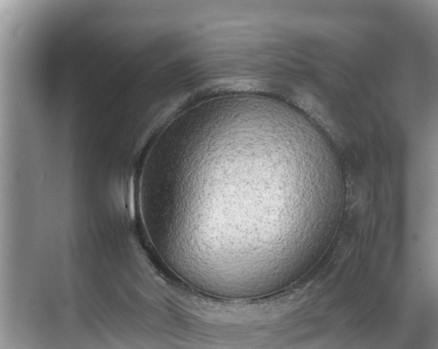 X0000070390014200606161422