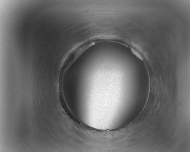 X0000070390015200606161422