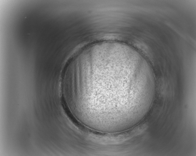 X0000070390016200606161422