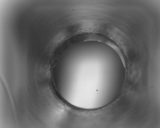 X0000070390017200606161422