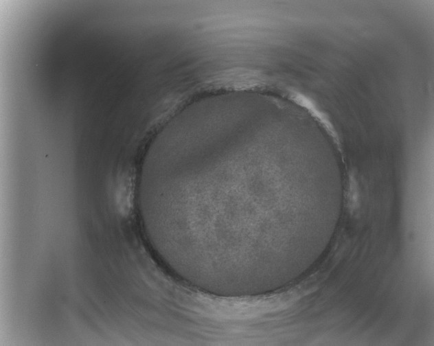 X0000070390018200606161422