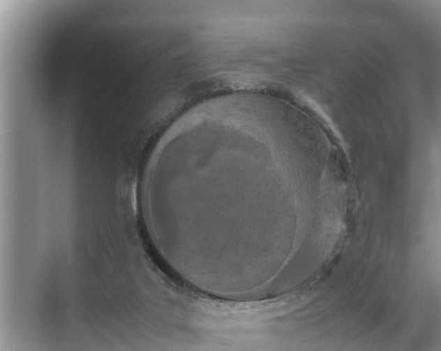 X0000070390019200606161422