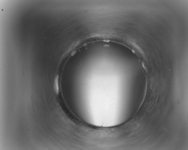 X0000070390020200606161422