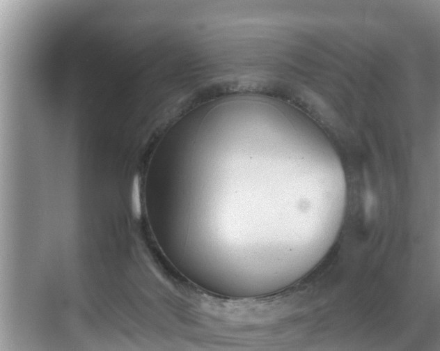 X0000070390022200606161422