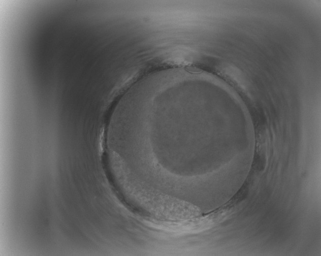 X0000070390023200606161422