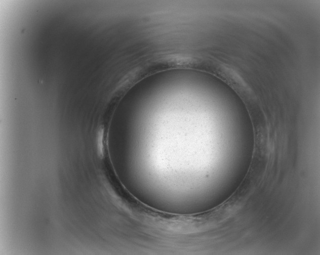 X0000070390024200606161422