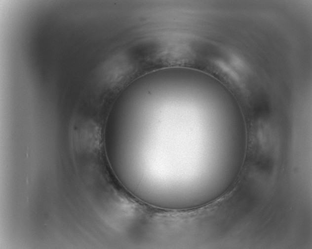 X0000070390025200606161422