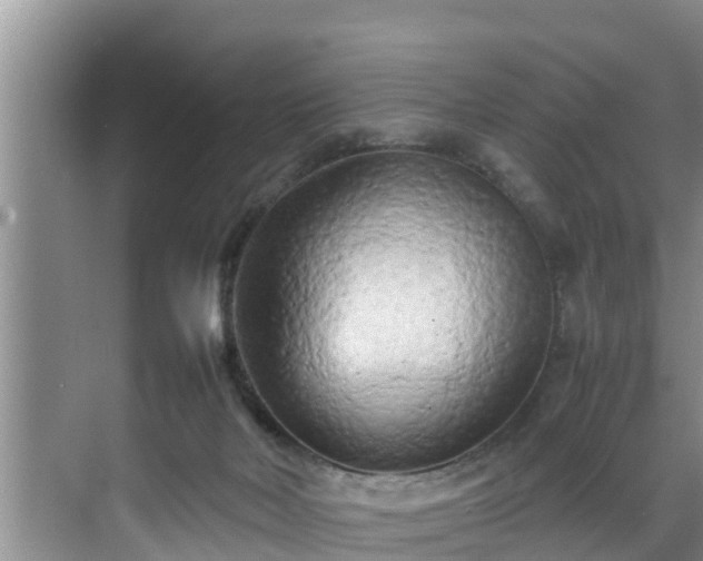 X0000070390026200606161422