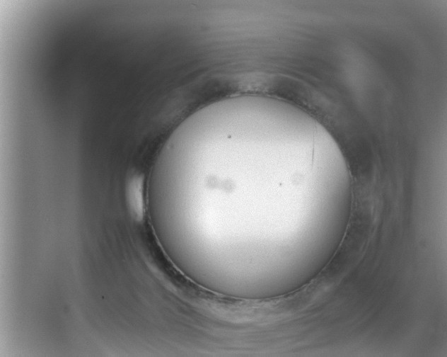 X0000070390028200606161422