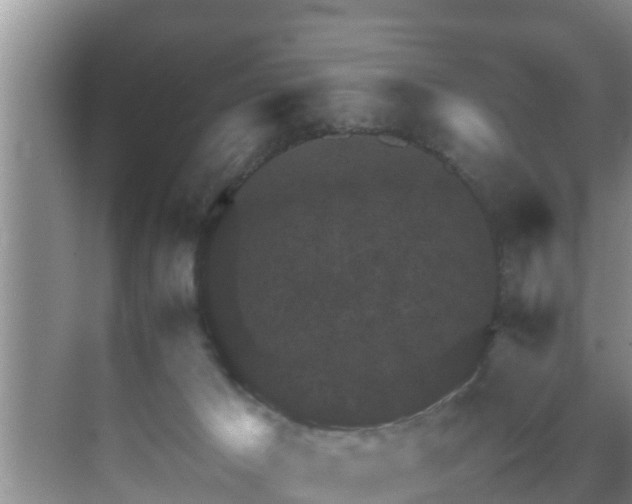 X0000070390029200606161421