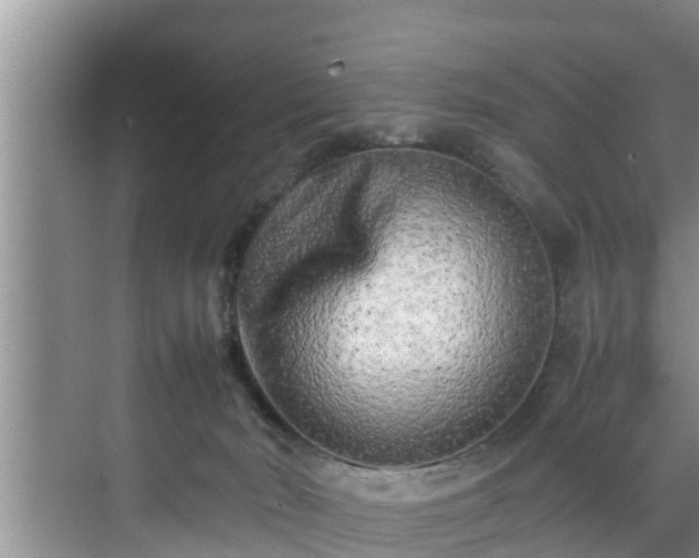 X0000070390030200606161421